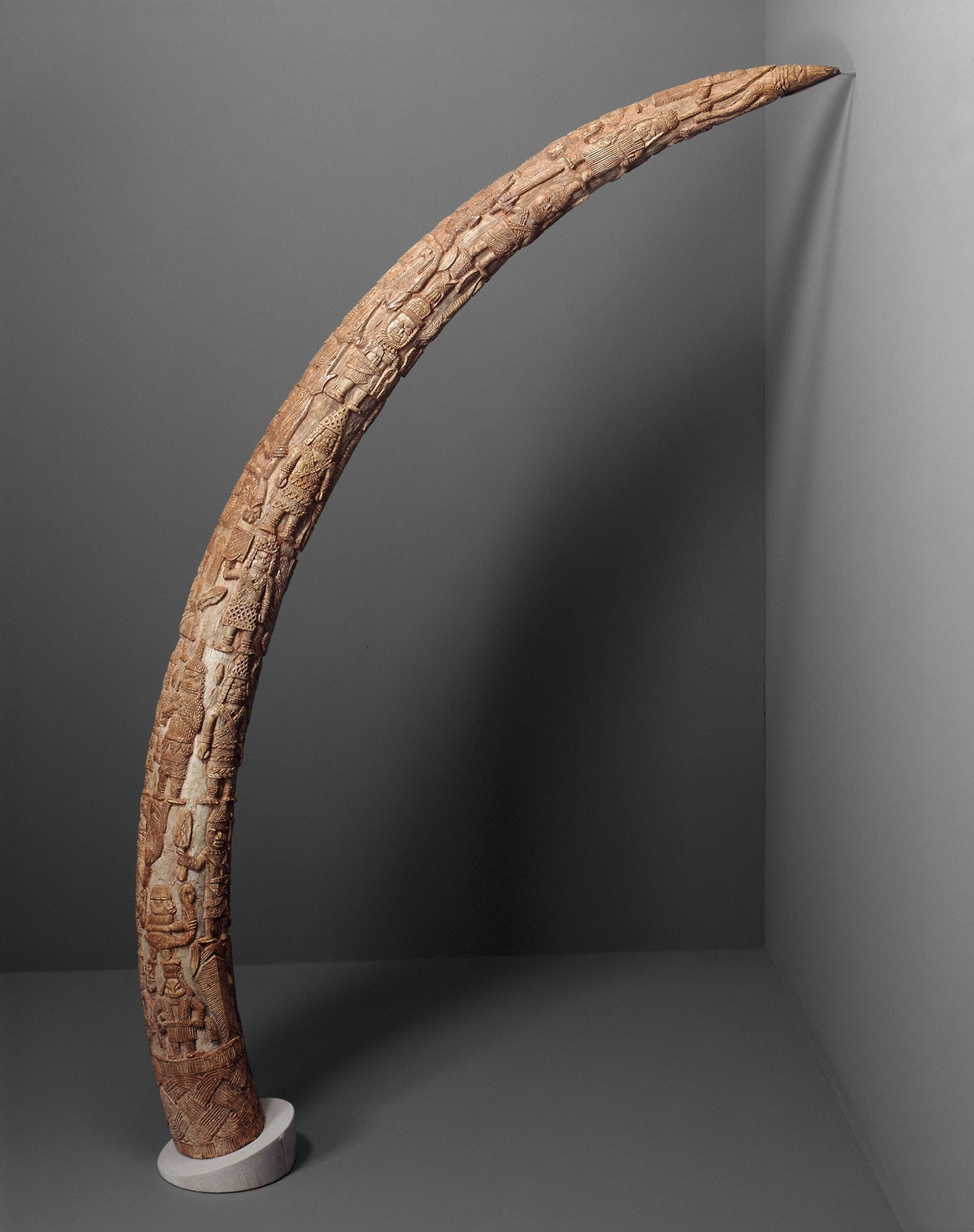 Tusk -  Edo, Kingdom of Benin,  Poster Print Wall Art