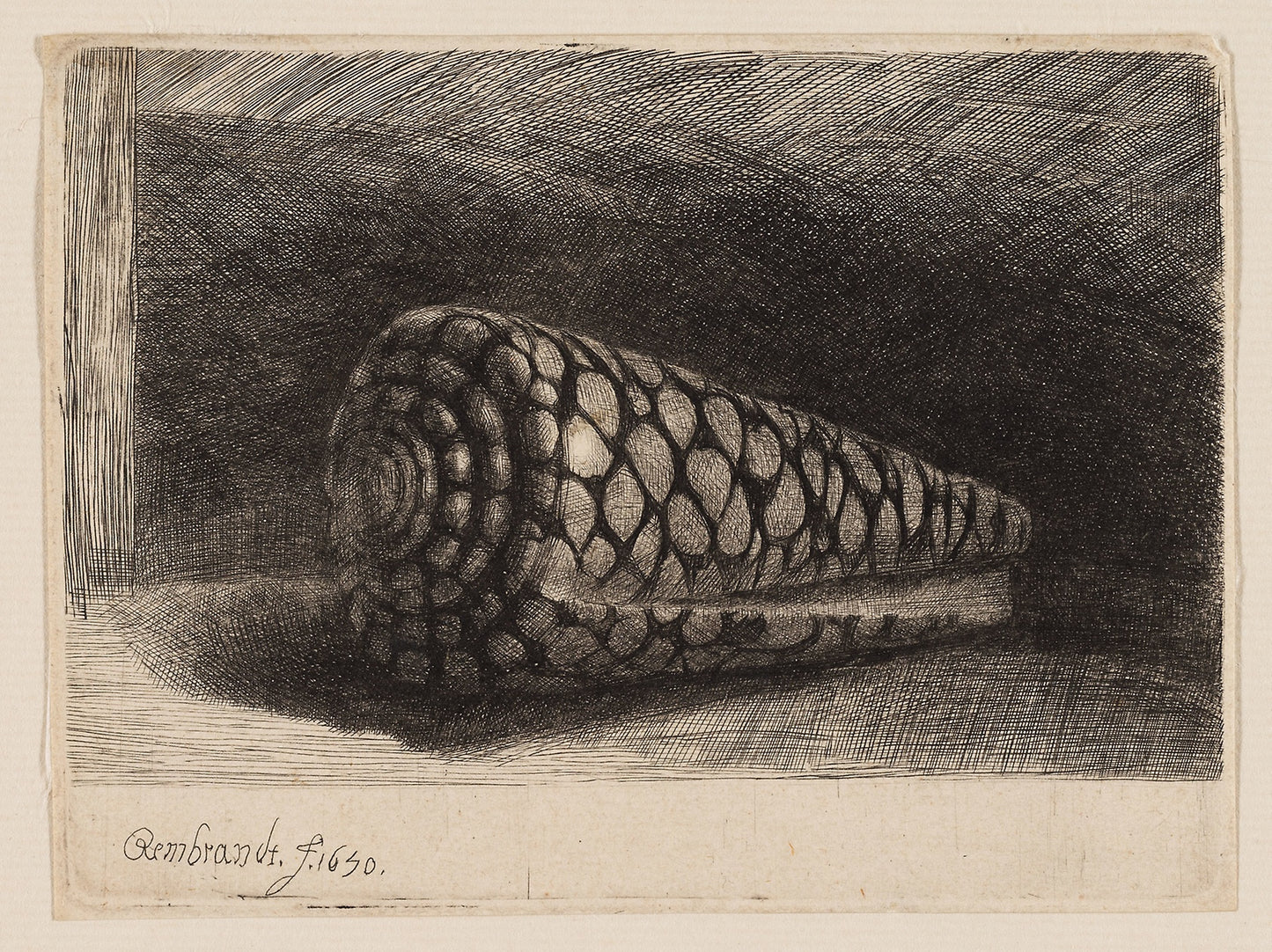 The Shell -  Rembrandt van Rijn,  Poster Print Wall Art
