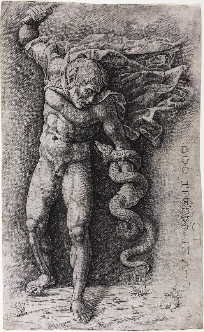 Faun Attacking a Snake: School of Andrea Mantegna,16x12