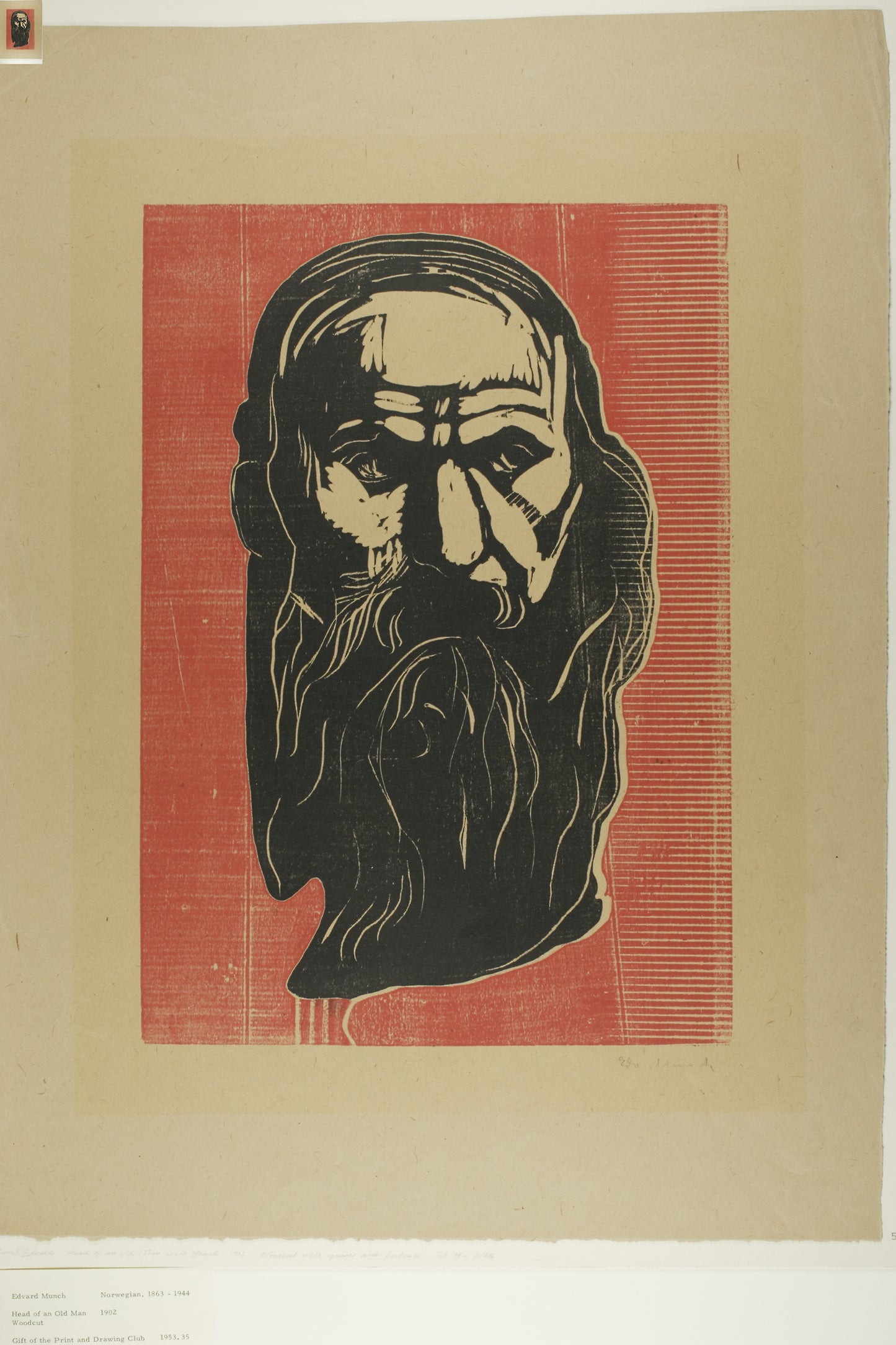 Head of an Old Man with Beard -  Edvard Munch,  Poster Print Wall Art