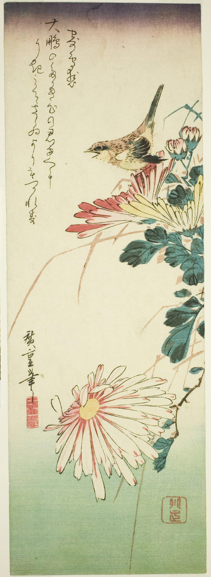 Bird and chrysanthemums: Utagawa Hiroshige ?? ??,16x12