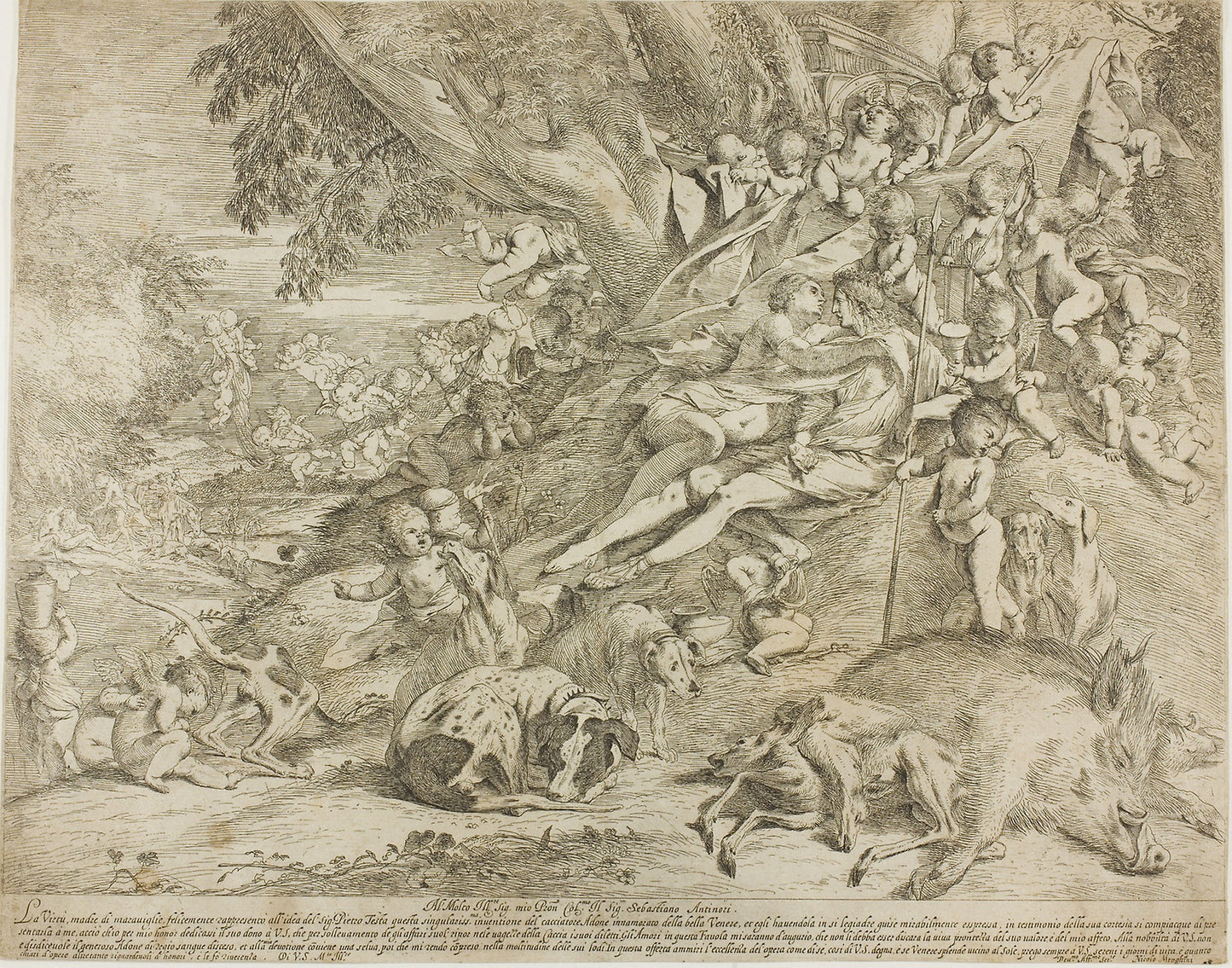 Venus and Adonis -  Pietro Testa,  Poster Print Wall Art