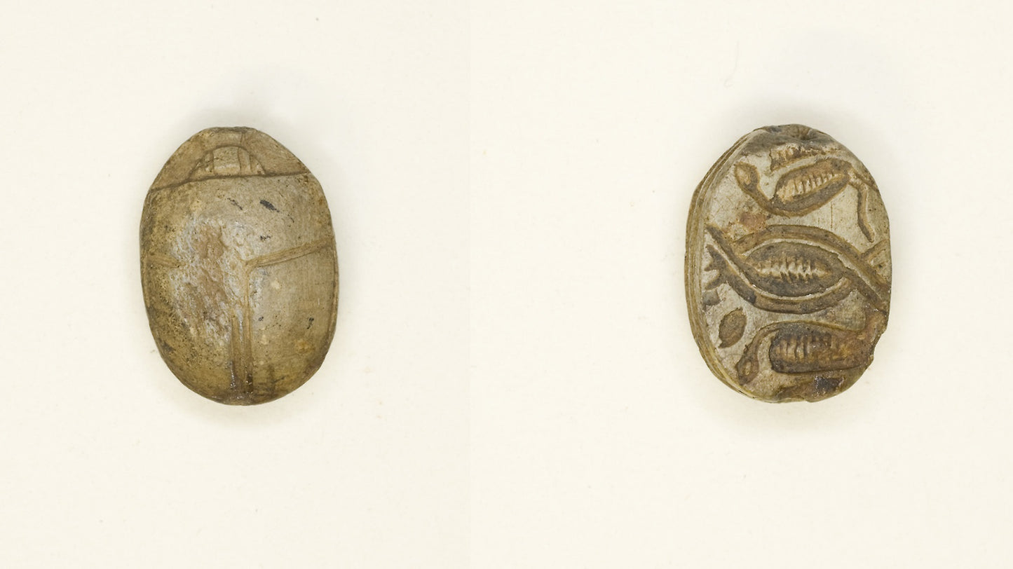 Scarab: Cobras Addorsed and Linked: Egyptian, Poster Print Wall Art