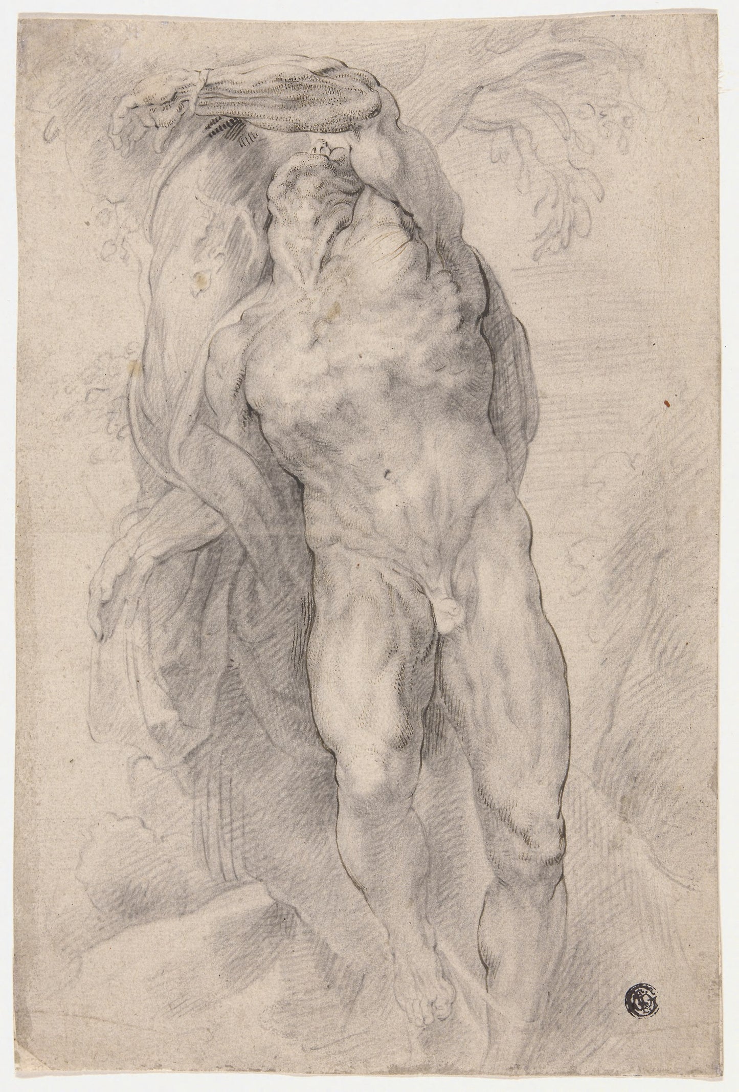 Male Nude Tied to Tree -  Circle of Peter Paul Rubens,  Poster Print Wall Art