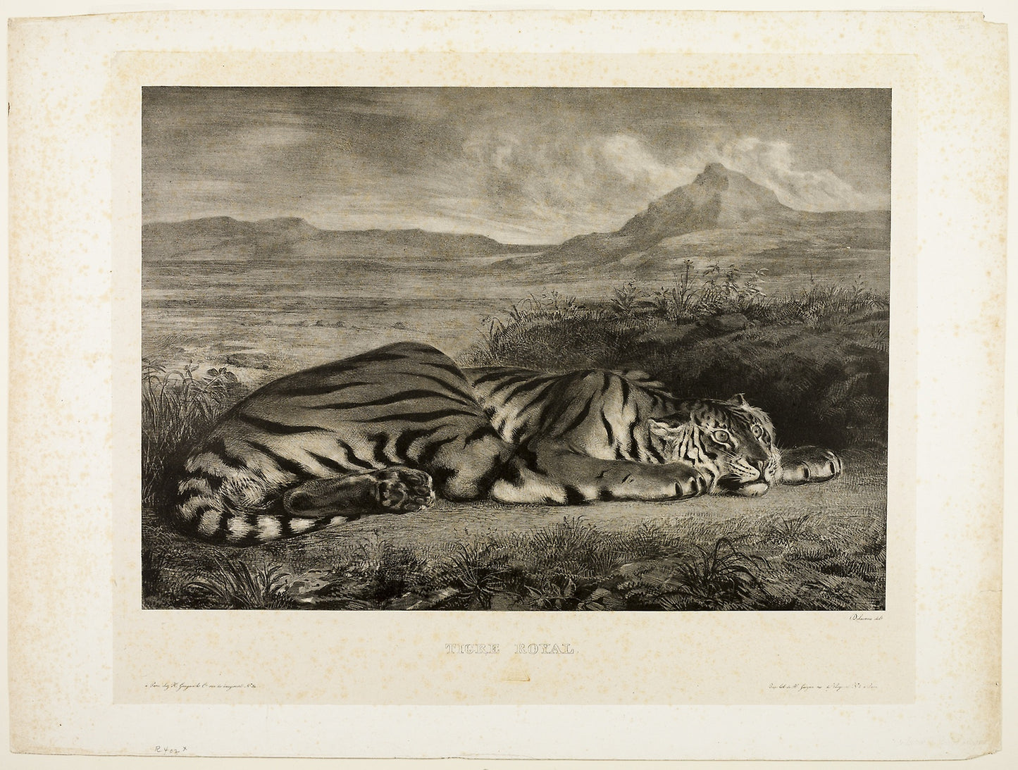 Bengal Tiger -  Eugène Delacroix (French, 1798-1863),  Poster Print Wall Art