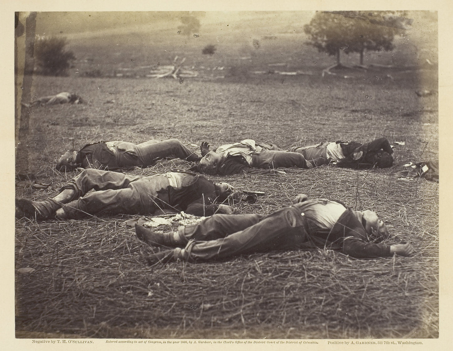 Field Where General Reynolds Fell, Gettysburg -  Timothy O'Sullivan ,  Poster Print Wall Art