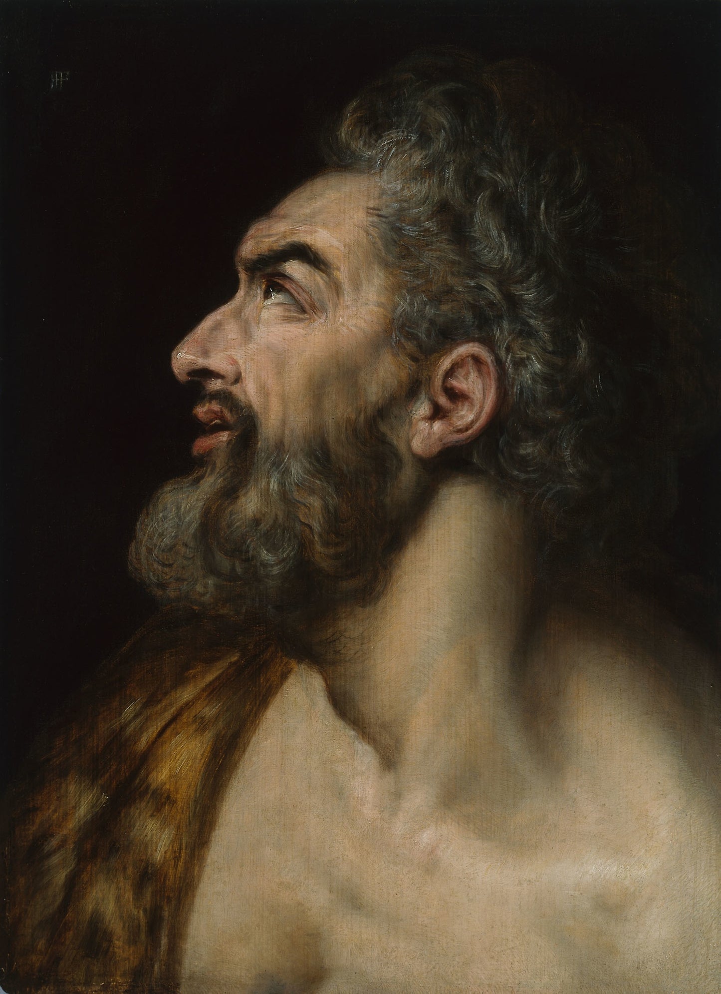Study Head of a Bearded Man -  Frans Floris,  Poster Print Wall Art