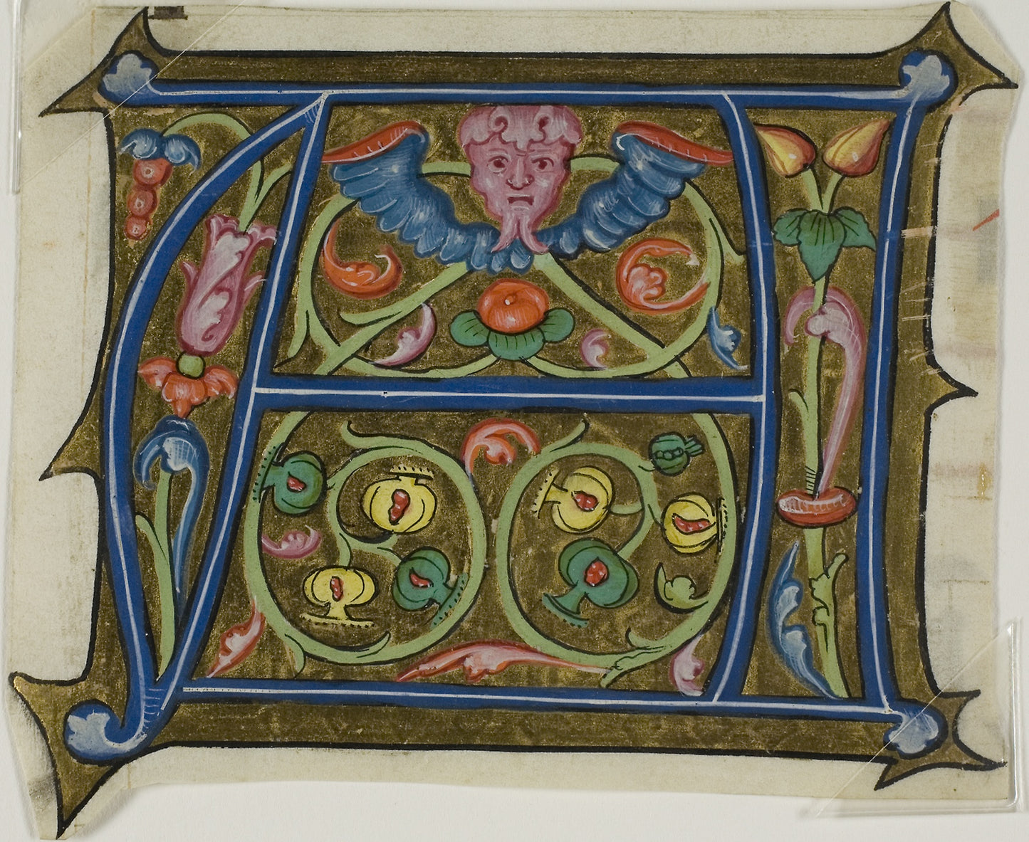 Decorated Initial "A" with Grotesque and Flora from a Choir Book -  French,  Poster Print Wall Art