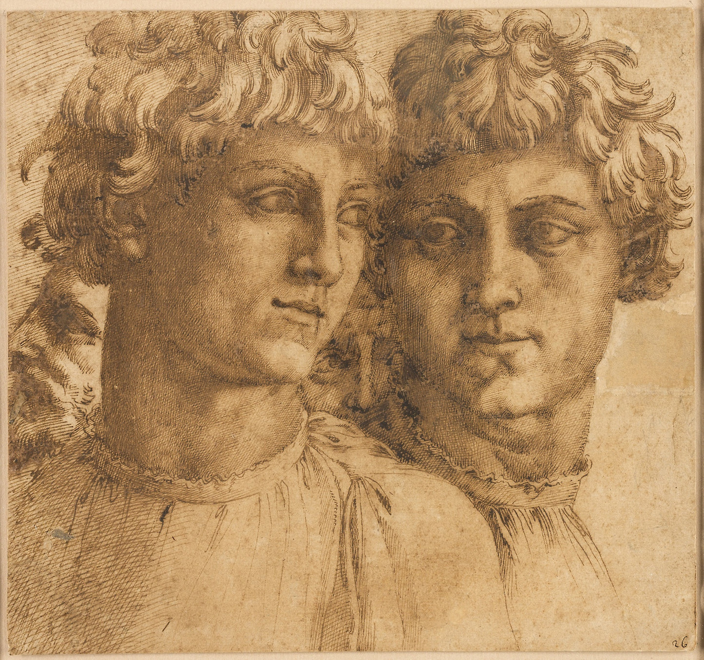 Two Studies of the Head of a Youth -  Baccio Bandinelli,  Poster Print Wall Art