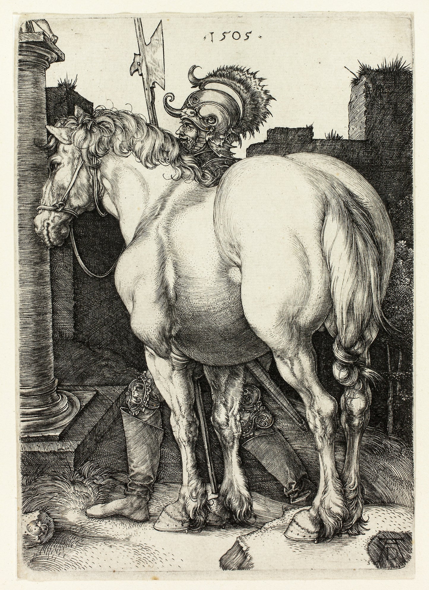 The Large Horse -  Albrecht Dürer,  Poster Print Wall Art