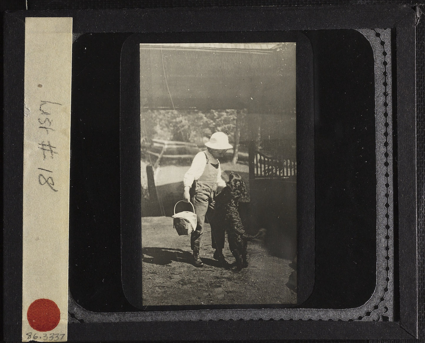 Untitled (Niece Elizabeth with "Inky" at Oaklawn) -  Alfred Stieglitz,  Poster Print Wall Art