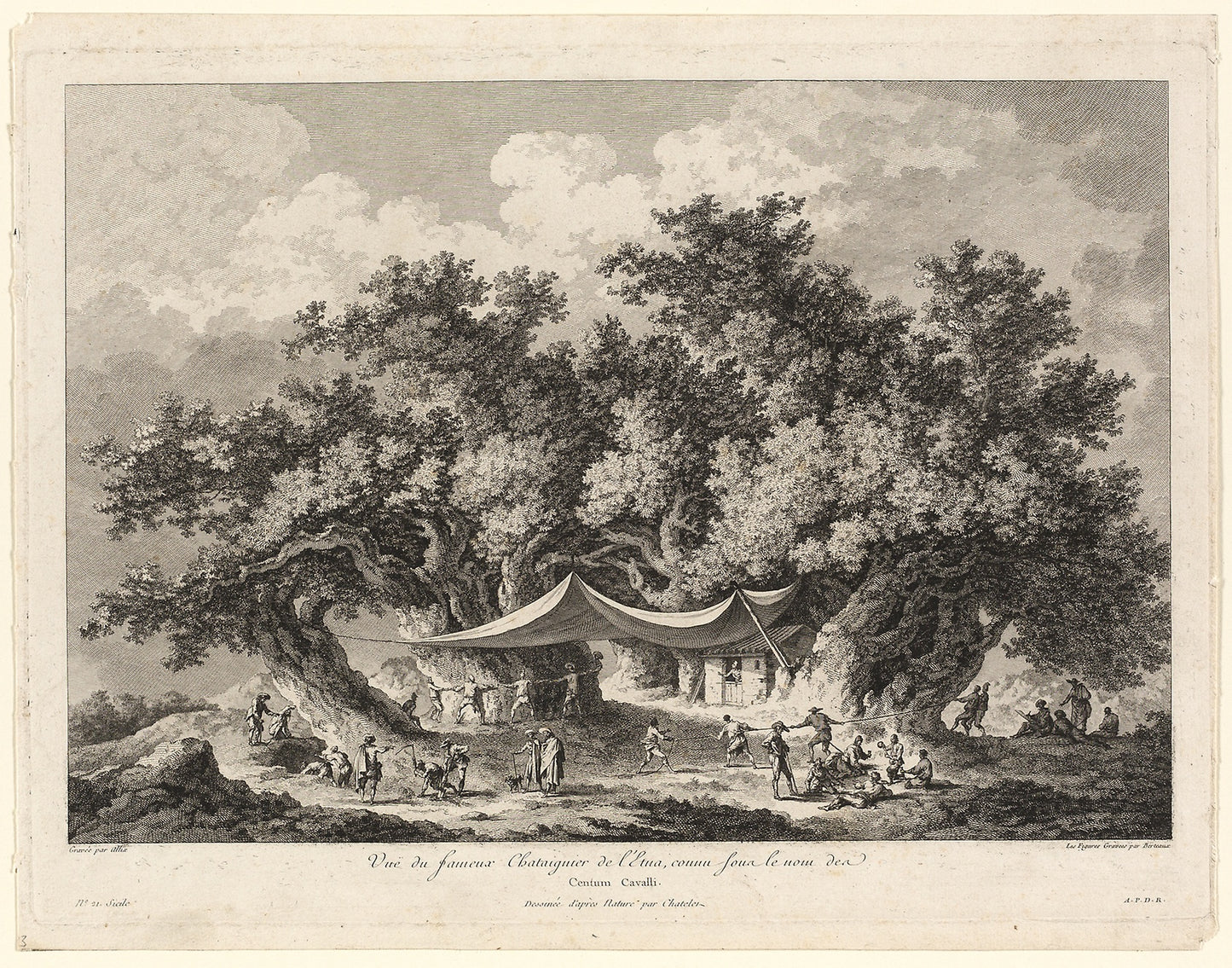 View of the Famous Chestnut Tree of Mount Etna, called Centum Cavalli -  François Alix (French, 1753-1794),  Poster Print Wall Art