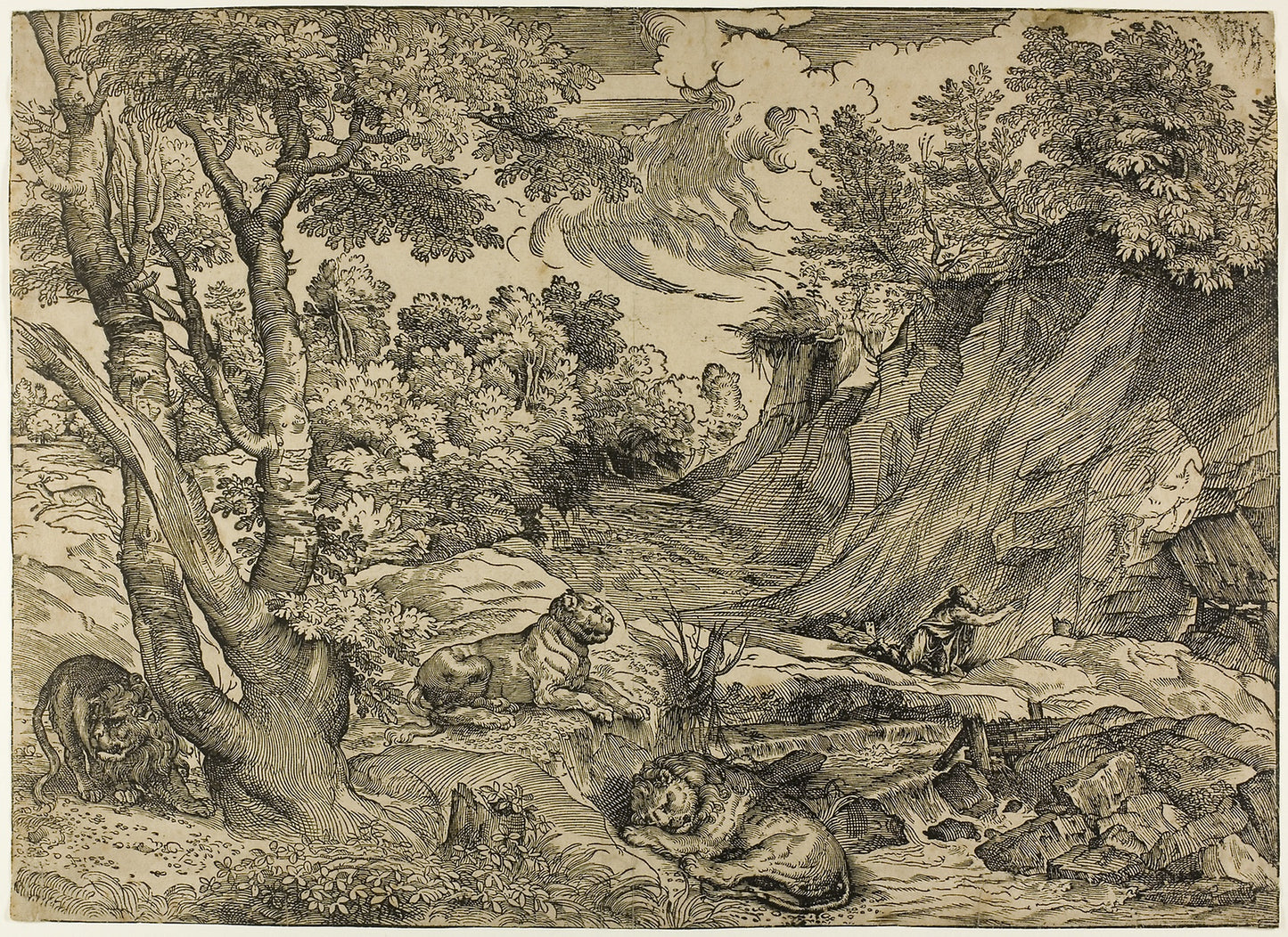 Saint Jerome in the Wilderness -  Nicolò Boldrini (Italian, c. 1500–1566),  Poster Print Wall Art