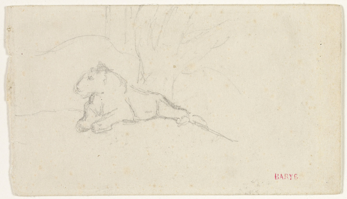 Lioness Lying near a Tree -  Antoine Louis Barye,  Poster Print Wall Art