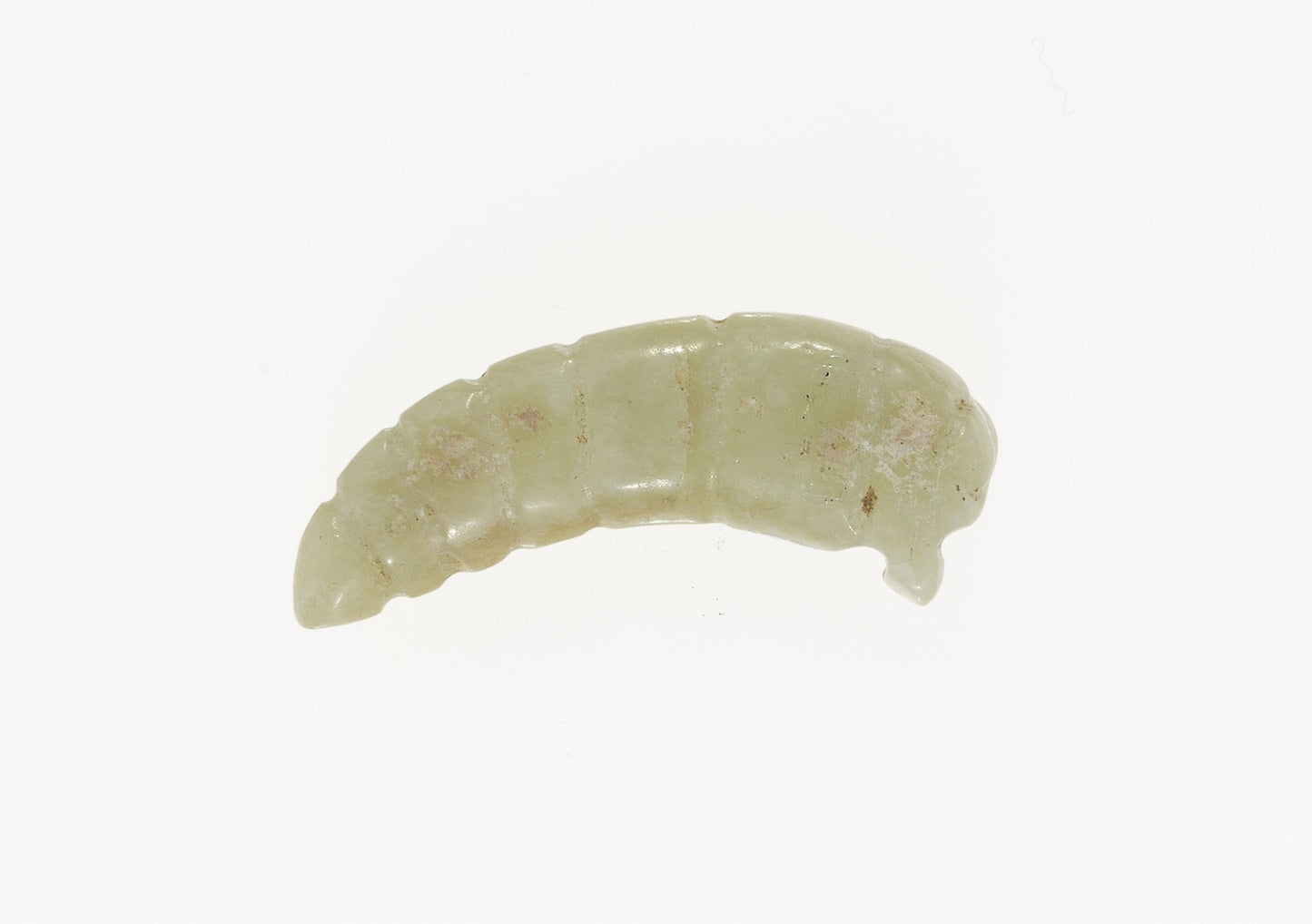 Silkworm Pupa Pendant -  China,  Poster Print Wall Art