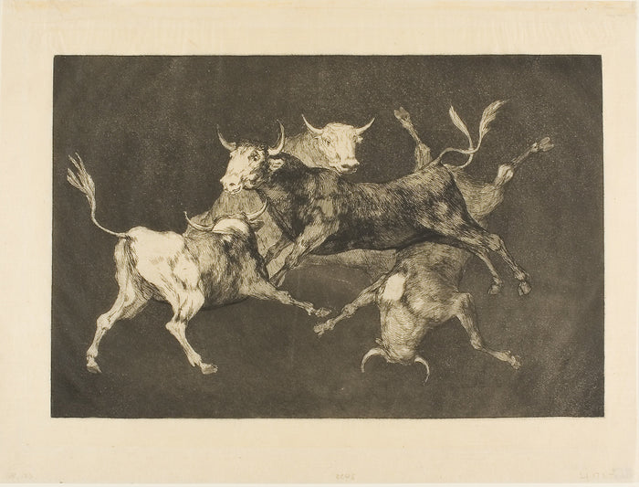 Fool’s Folly, from Disparates: Francisco José de Goya y Lucientes (Spanish, 1746–1828),16x12