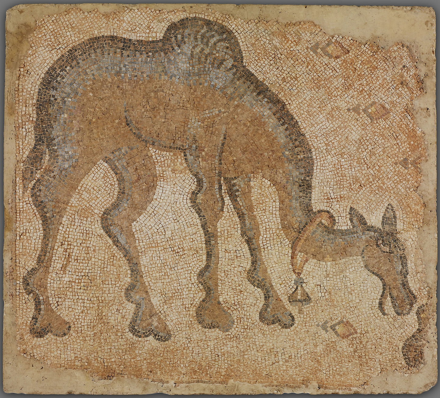 Mosaic Fragment with Grazing Camel -  Byzantine; Eastern Mediterranean, probably Syria,  Poster Print Wall Art