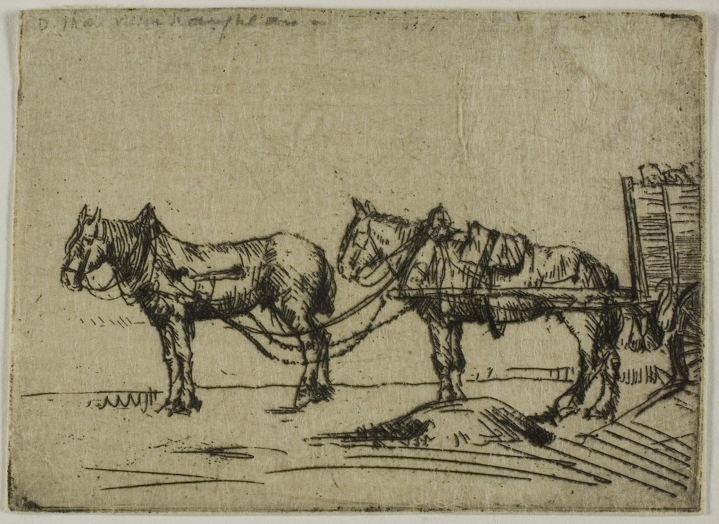 Two Horses -  Donald Shaw MacLaughlan,  Poster Print Wall Art