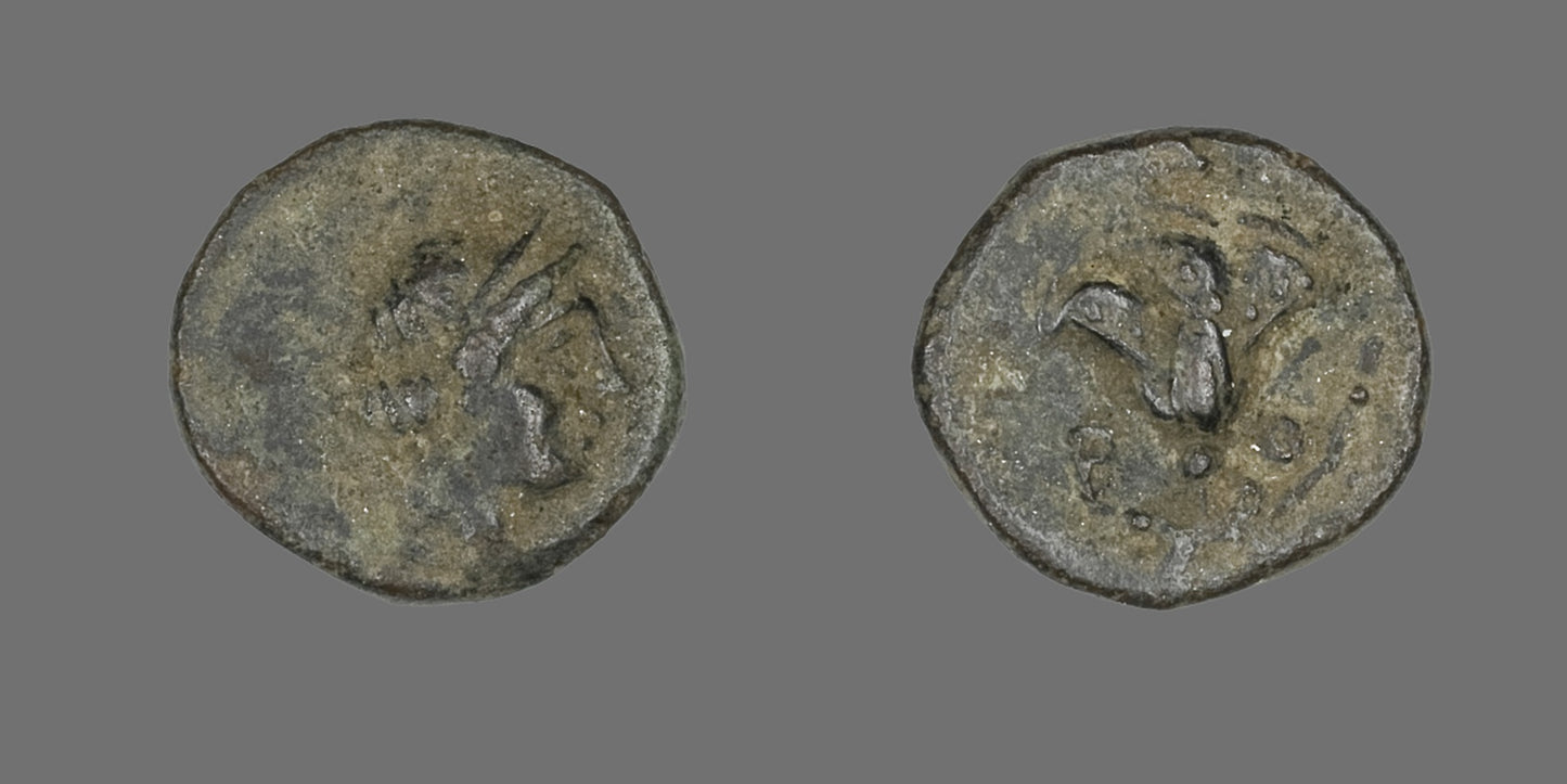 Coin Depicting the Goddess Rhodos -  Greek,  Poster Print Wall Art