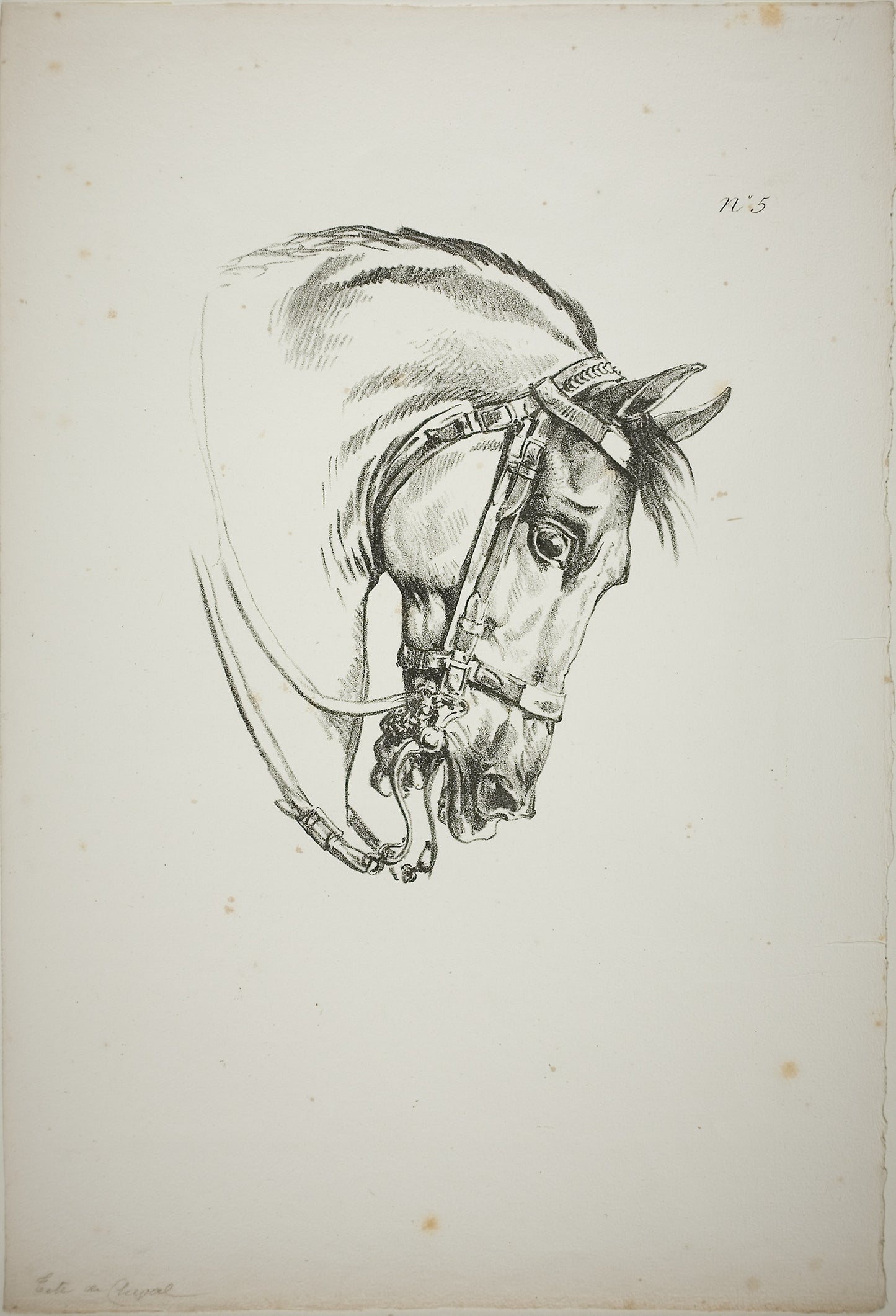 Detail of Horse's Head, Enlarged to Triple Size, Norman Royal Guard, No. 5, First Limoges Horse -  Carle Vernet (French, 1758-1836),  Poster Print Wall Art