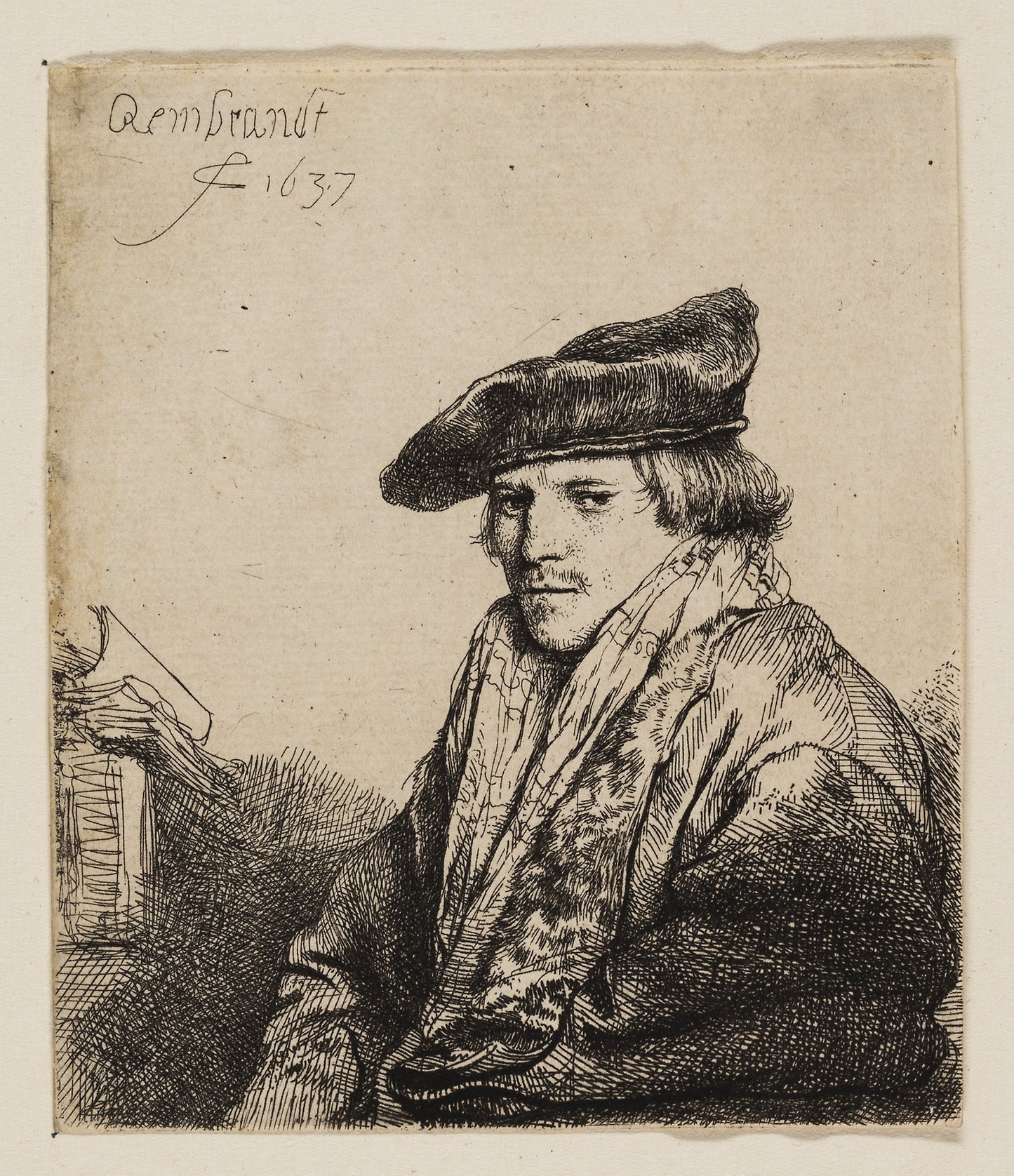 Young Man in a Velvet Cap (Petrus Sylvius?) -  Rembrandt van Rijn,  Poster Print Wall Art