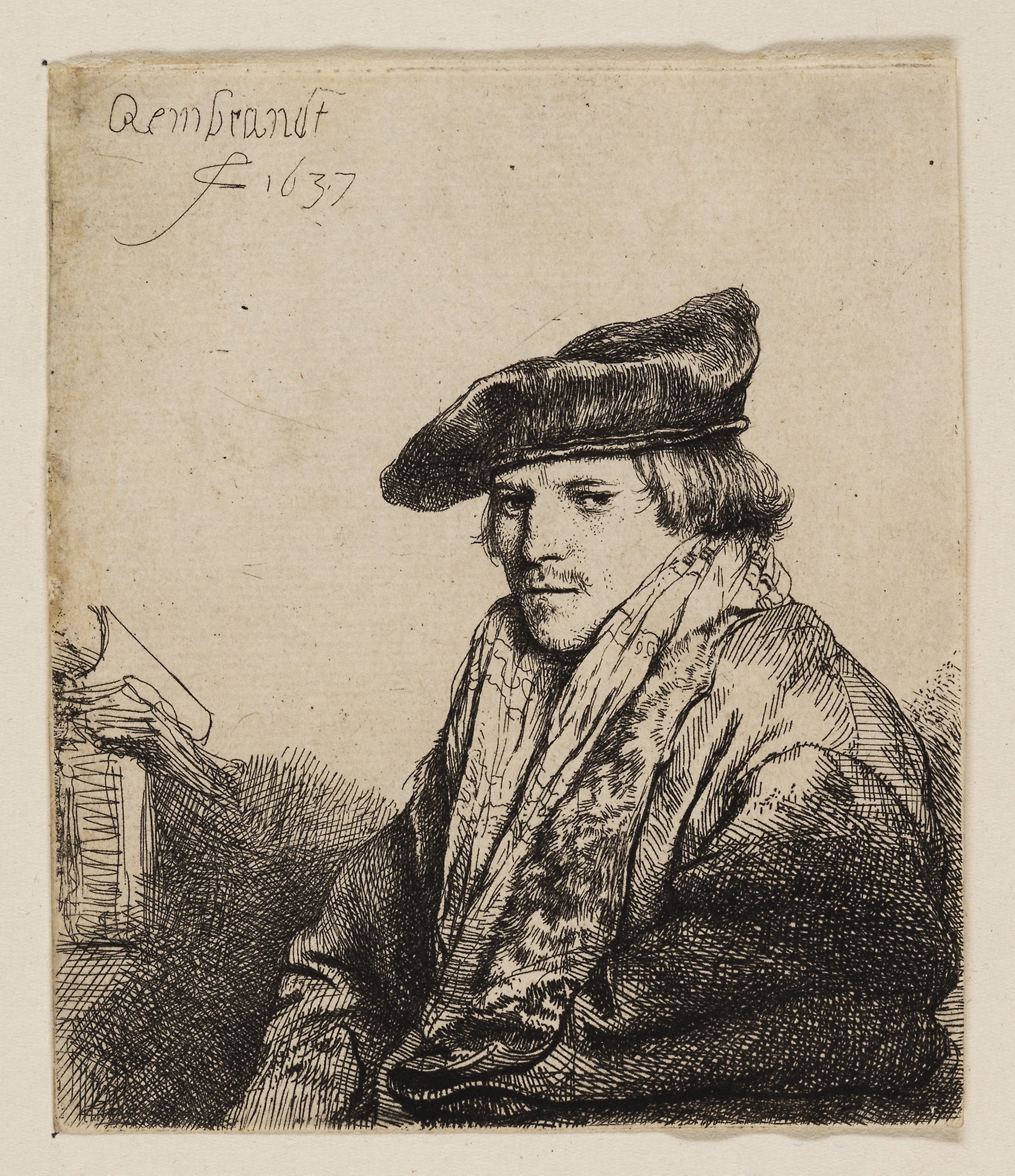 Young Man in a Velvet Cap (Petrus Sylvius?): Rembrandt van Rijn,16x12"(A3) Poster