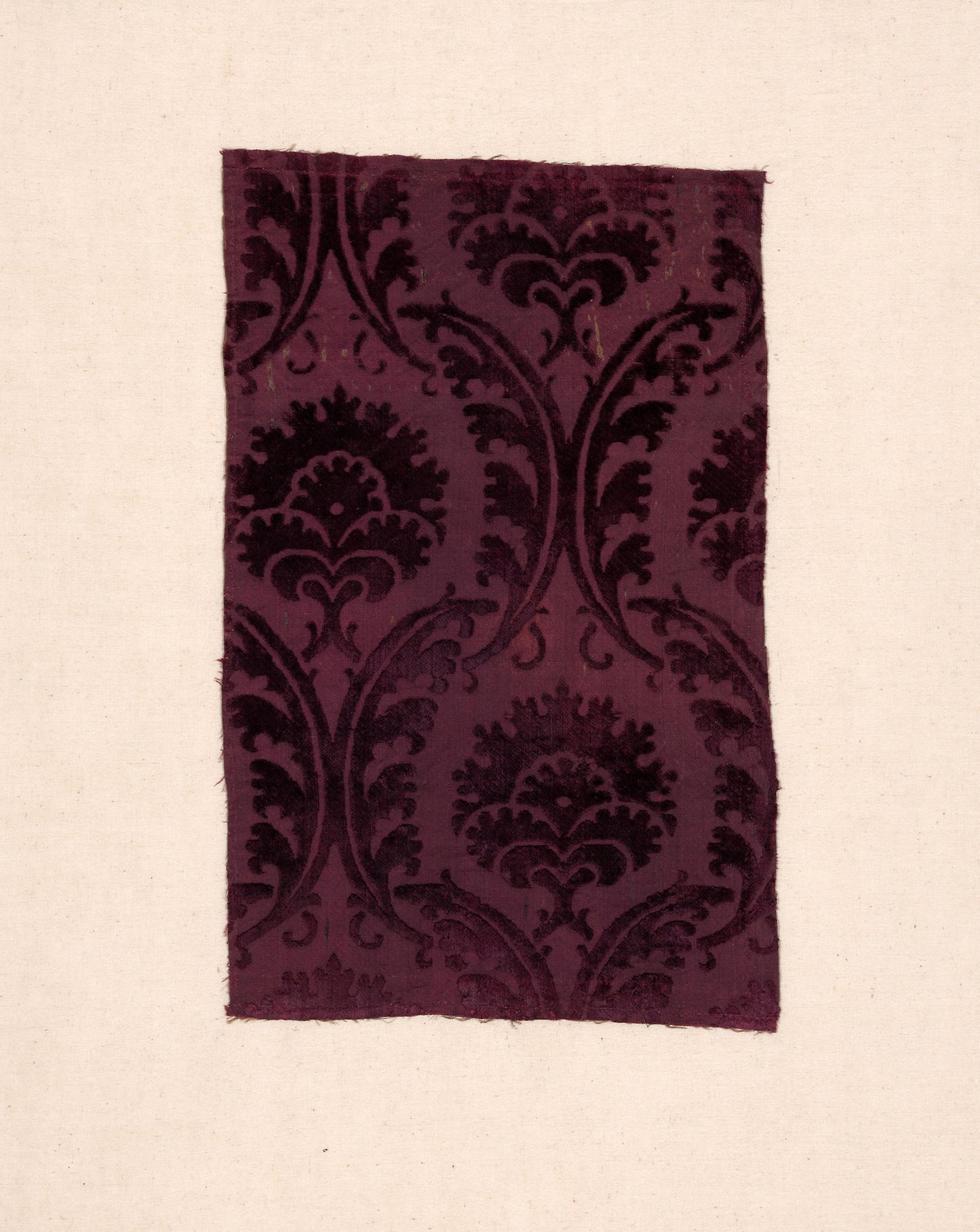 Fragment -  Italy, Florence or Lucca,  Poster Print Wall Art