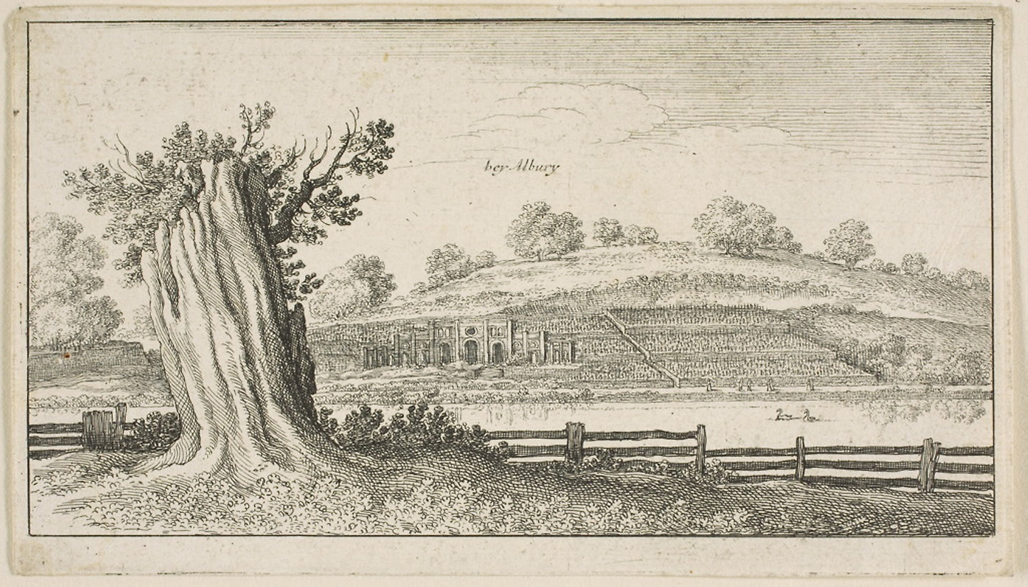 Albury with Tree-Stump in Foreground -  Wenceslaus Hollar,  Poster Print Wall Art