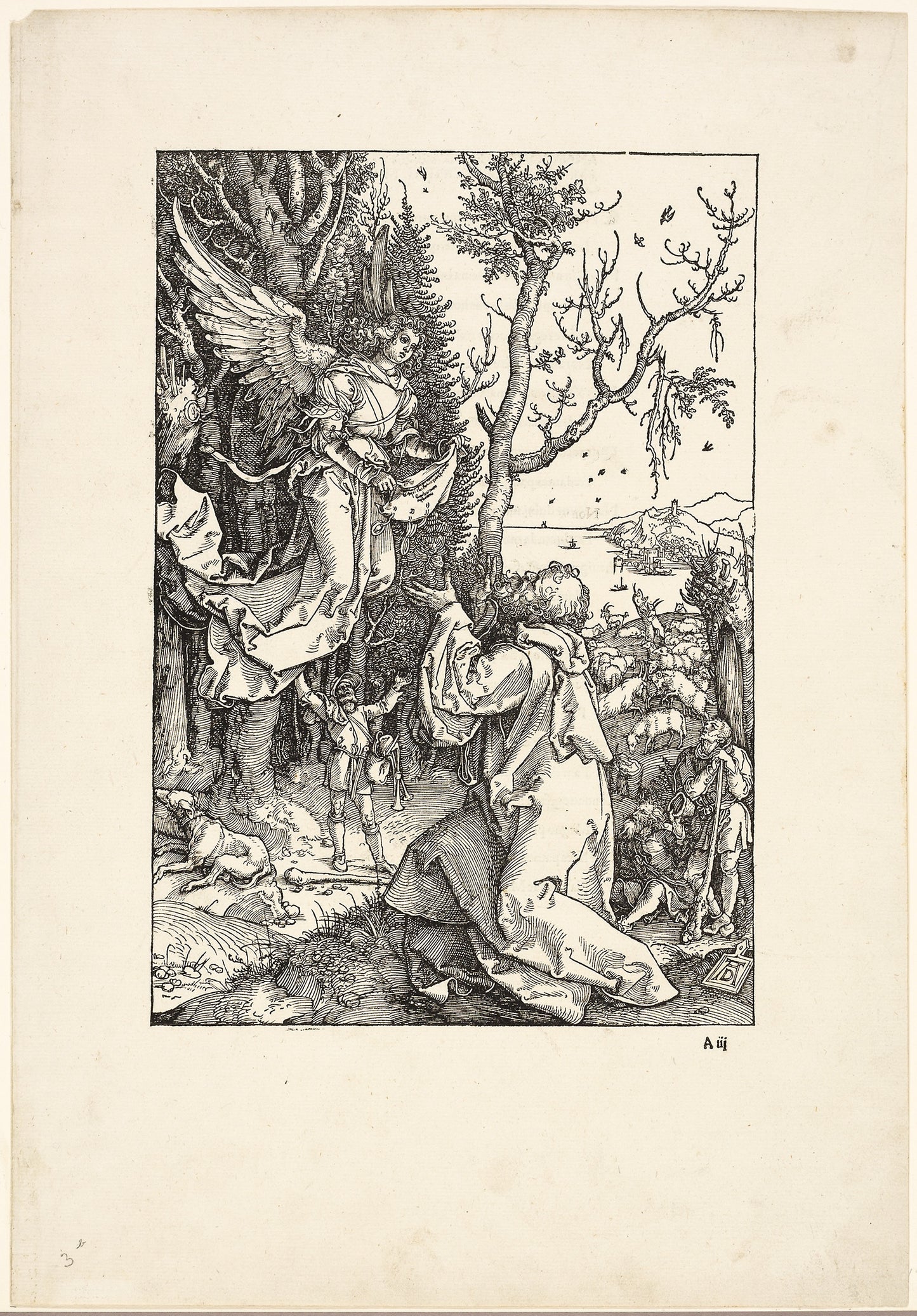 Joachim and the Angel, from The Life of the Virgin -  Albrecht Dürer,  Poster Print Wall Art