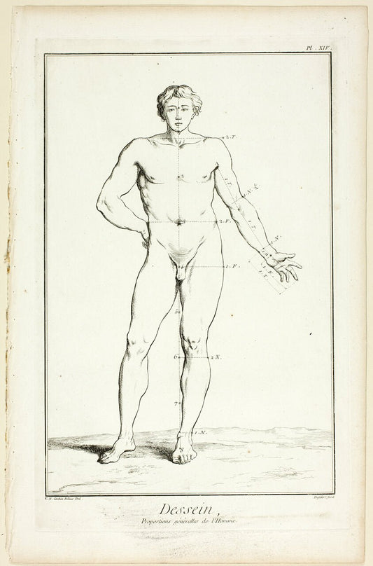 Design by  General Proportions of the Male, from Encyclopedie by  A. J. Defehrt (French, active 18th century),23x16"( A2 size ) Poster Print