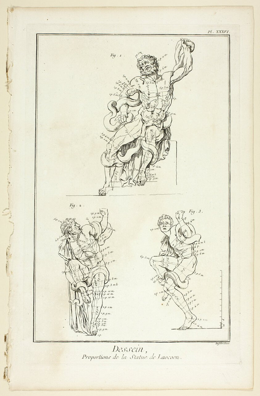 Design by  Proportions of the Laocoon statue, from Encyclopedie by  A. J. Defehrt (French, active 18th century),23x16"( A2 size ) Poster Print