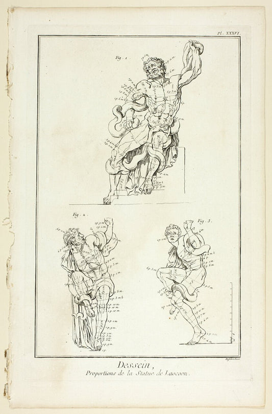 Design by  Proportions of the Laocoon statue, from Encyclopedie by  A. J. Defehrt (French, active 18th century),23x16"( A2 size ) Poster Print
