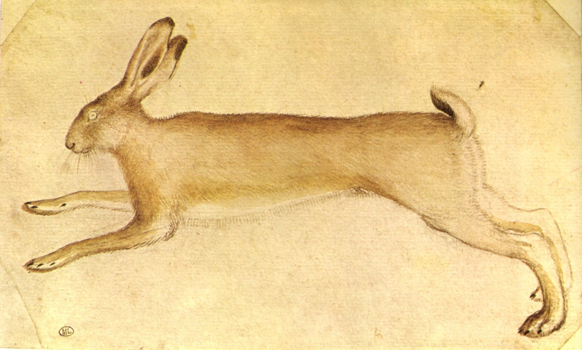 Dessin, vintage artwork by Pisanello, A3 (16x12") Poster Print