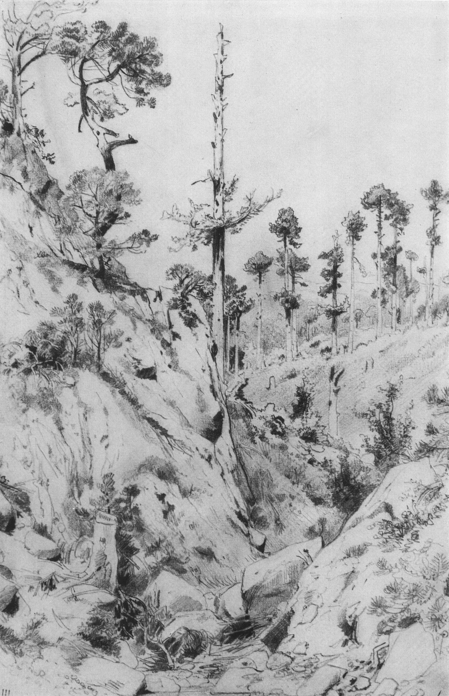 Crimean Landscape, vintage artwork by Ivan Ivanovich Shishkin, 12x8" (A4) Poster
