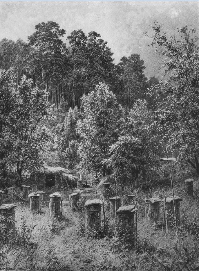 An Apiary, vintage artwork by Ivan Ivanovich Shishkin, 12x8" (A4) Poster