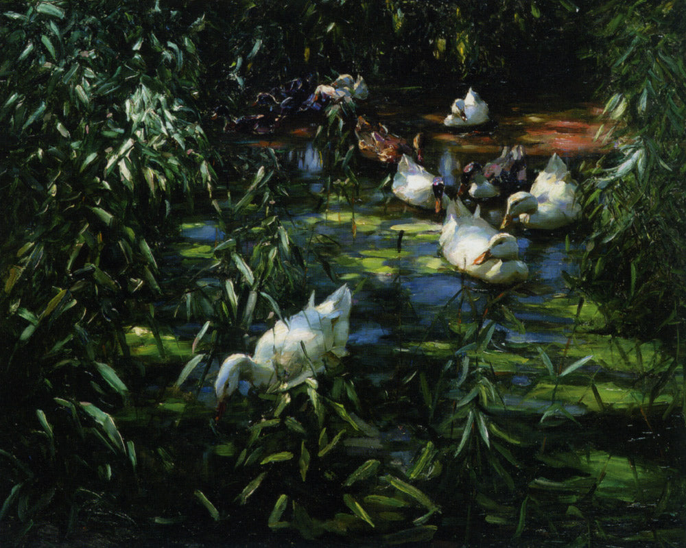Ducks in the Reeds by Alexander Koester,A3(16x12")Poster