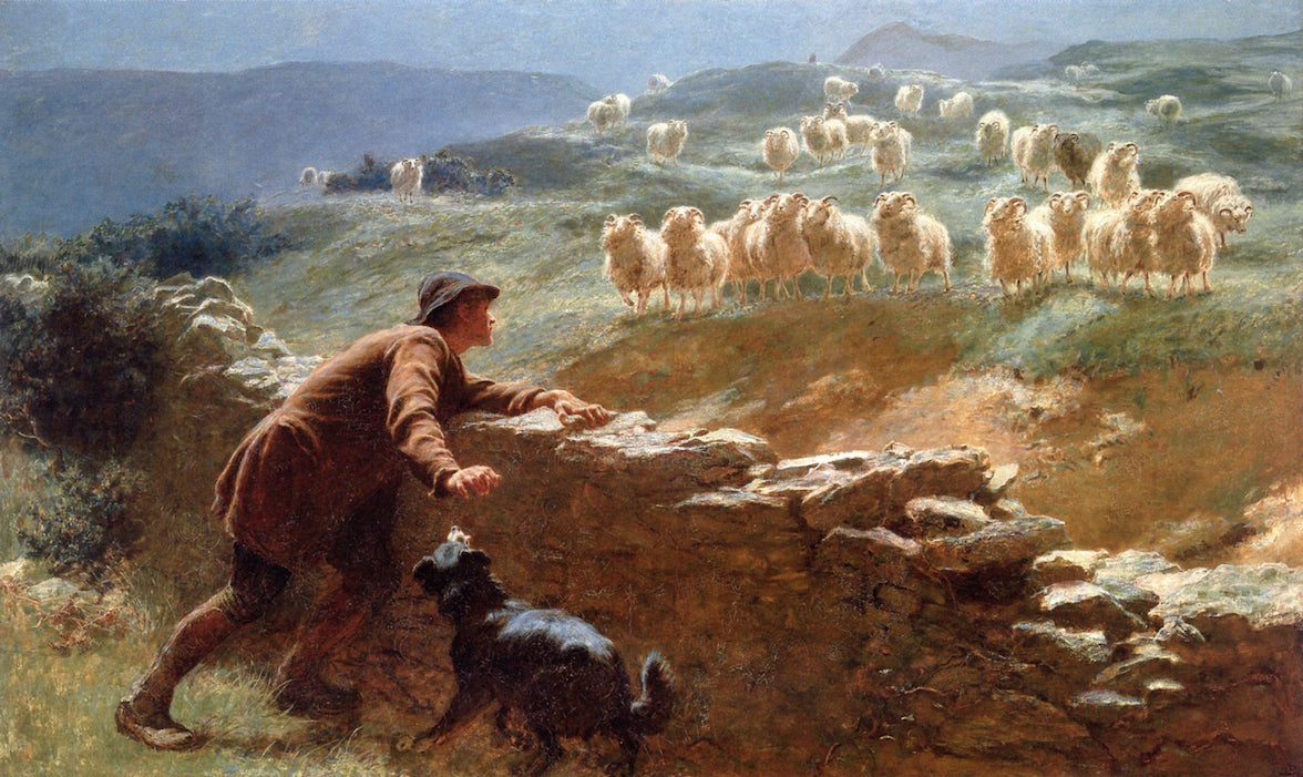 The Sheepstealer, vintage artwork by Briton Riviere, 12x8" (A4) Poster