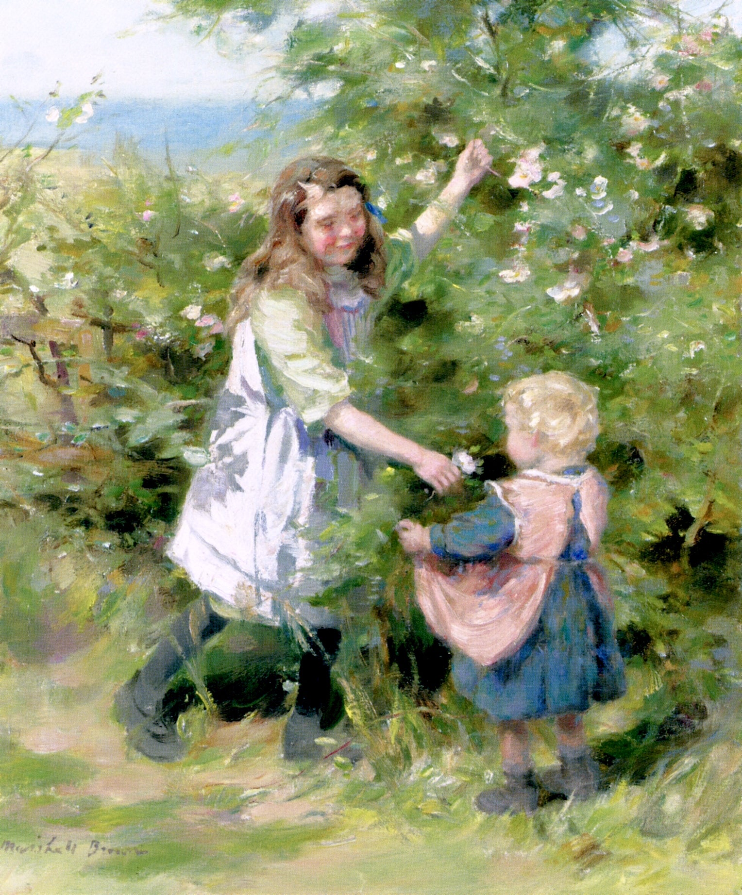 Wayside Roses, vintage artwork by William Marshall Brown, R.S.A. R.S.W., 12x8" (A4) Poster