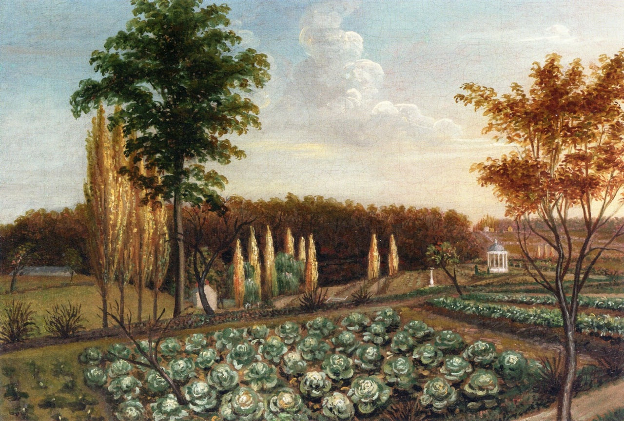 Cabbage Patch, The Gardens of Belfield, Pennsylvania, vintage artwork by Charles Willson Peale, 12x8" (A4) Poster