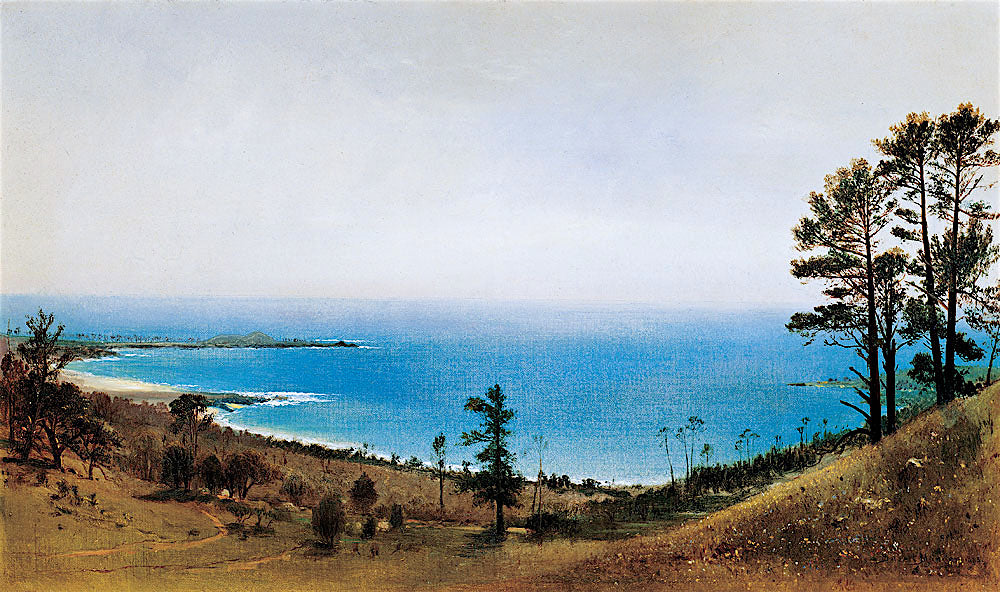 Along the Monterey Peninsula, vintage artwork by Gilbert Munger, 12x8" (A4) Poster