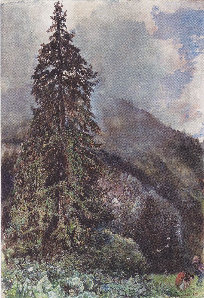 The Large Spruce in Gastein, vintage artwork by Rudolf von Alt, A3 (16x12") Poster Print