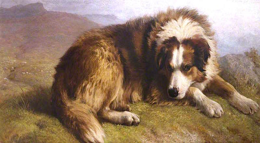 'Silky', vintage artwork by Henry Hetherington Emmerson, 12x8" (A4) Poster