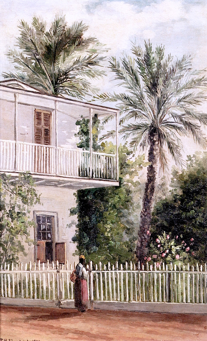 Dr. Peck's Palm Trees, St. Augustine, Fla., vintage artwork by Frank Henry Shapleigh, 12x8" (A4) Poster