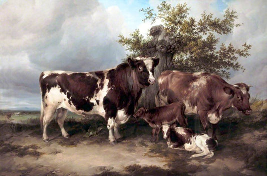 Bull, Cow and Calf, vintage artwork by Thomas Sidney Cooper, A3 (16x12") Poster Print