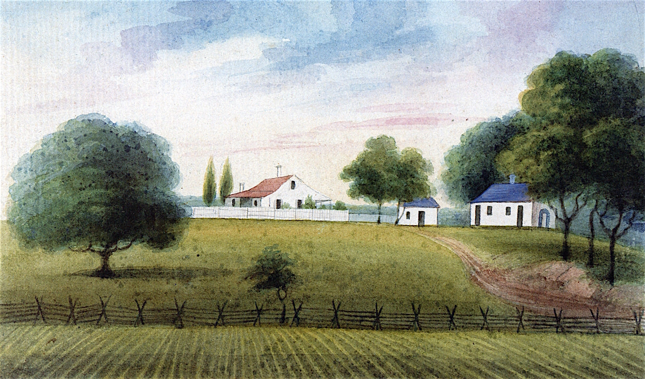 Rice Hope, the Seat of Dr. William Read, Taken from One of the Rice Fields, vintage artwork by Charles Fraser, 12x8" (A4) Poster