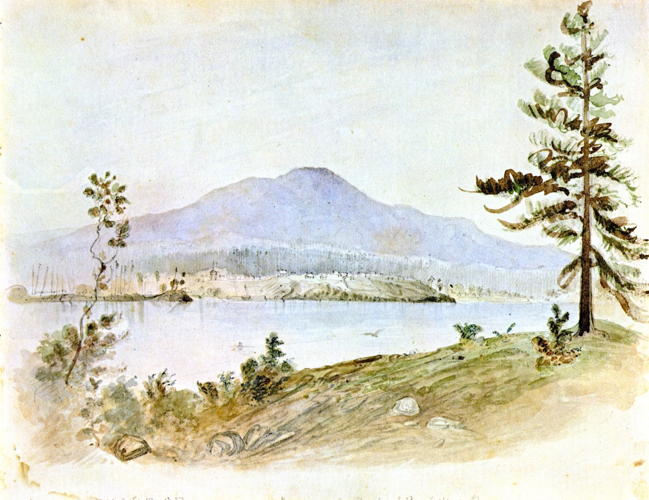 Nanaimo from Douglas Island, Gallows Point, vintage artwork by James Madison Alden, 12x8" (A4) Poster