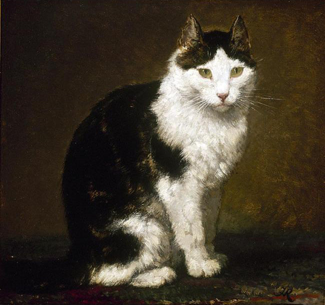 A Black and White Cat, vintage artwork by Henriette Ronner-Knip, A3 (16x12") Poster Print