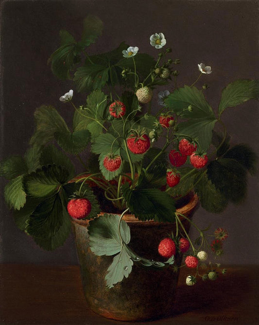 Strawberries in a Pot, vintage artwork by Otto Didrik Ottesen, A3 (16x12") Poster Print