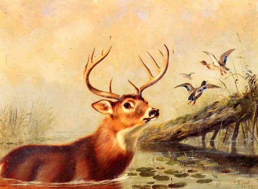Buck in a Marsh, vintage artwork by Arthur Fitzwilliam Tait, A3 (16x12") Poster Print