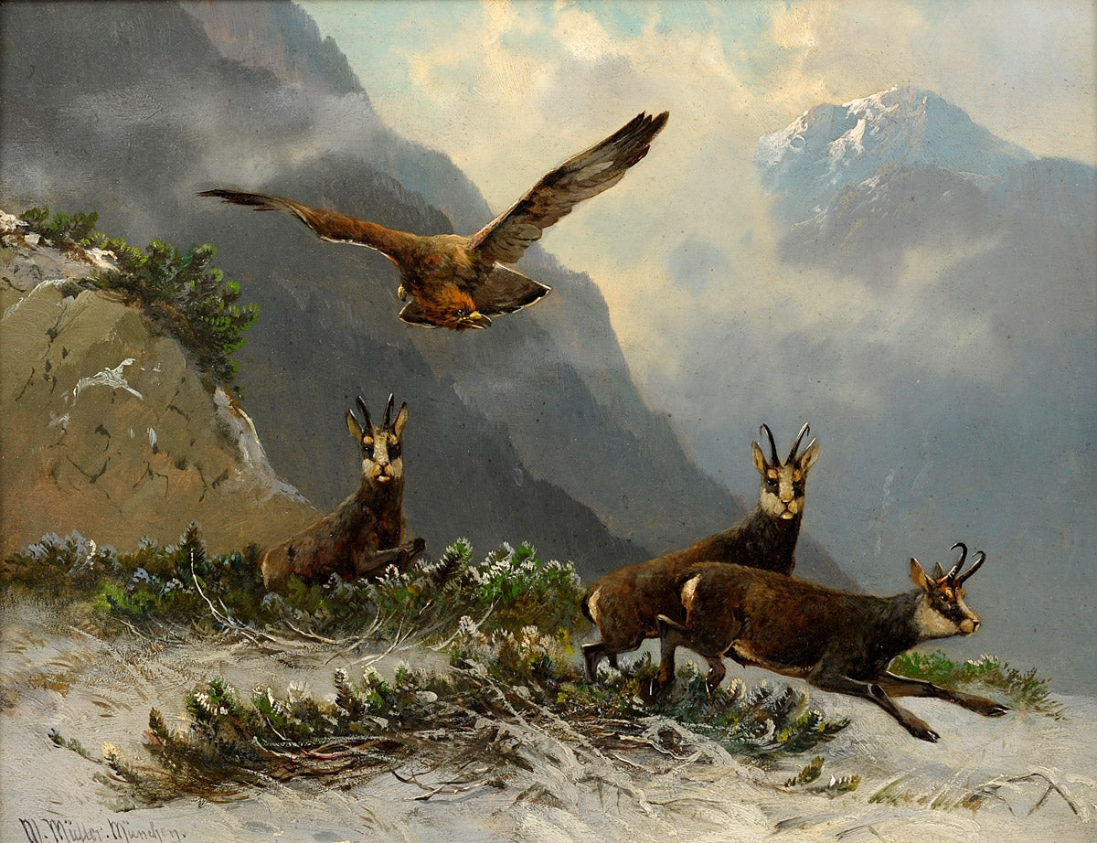 Eagles and wild goats in the mountains, vintage artwork by Moritz Muller, 12x8" (A4) Poster